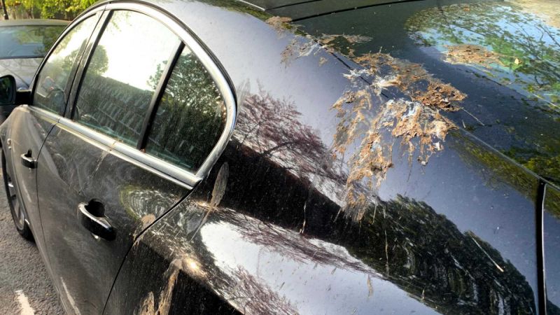 Ford creates fake bird poop for science, and paint protection