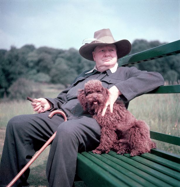 Controversial last minute change Winston Churchill made to his famous VE Day speech