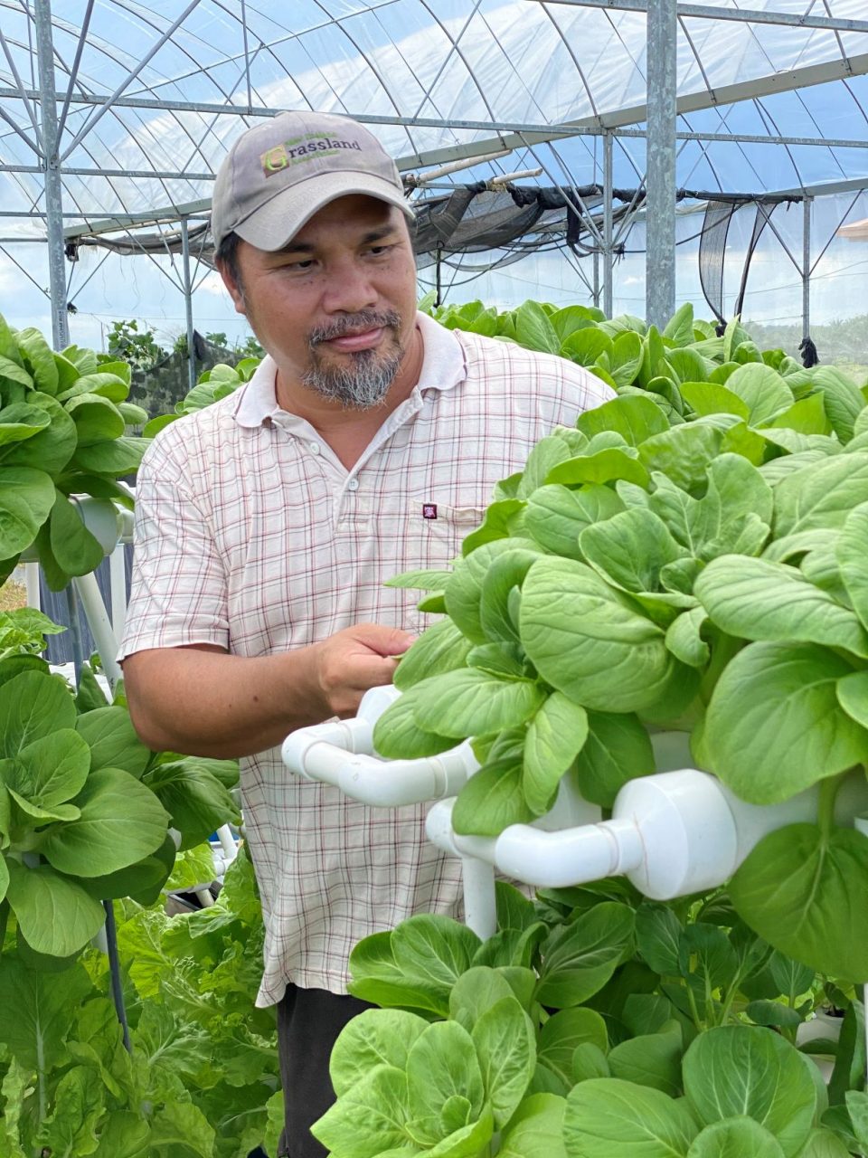 UMS shows way in sustainable food production