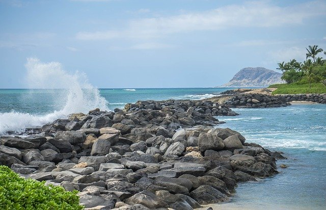 Coronavirus: New Yorker in Hawaii Arrested for Breaching Guidelines and Posting Beach Photos on Instagram