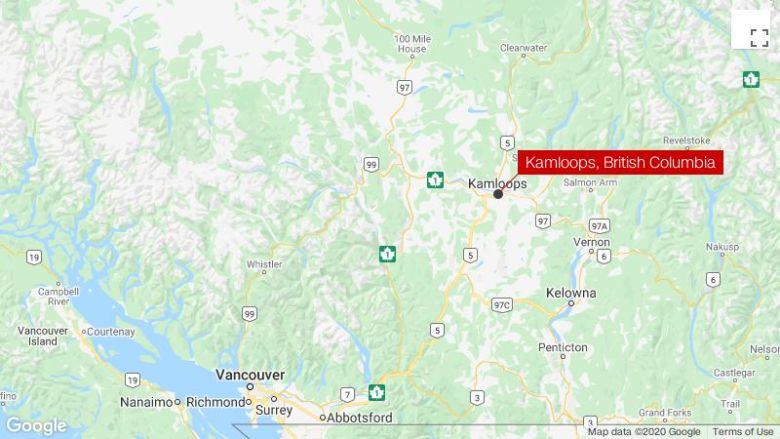 One dead after Canadian Snowbirds aircraft crashes into home in British Columbia