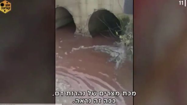 River in Israel turns red with blood 'looking like a biblical plague of Egypt'