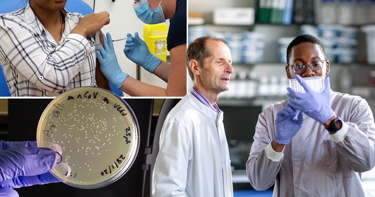 ‘Very high’ chance of coronavirus vaccine being developed – but its unclear when