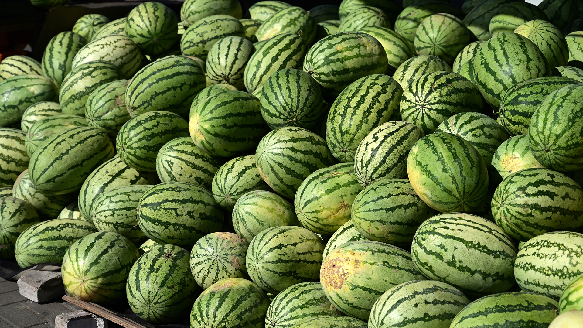 Criminal Masterminds Wore Watermelons on Their Heads to Shoplift From Convenience Store