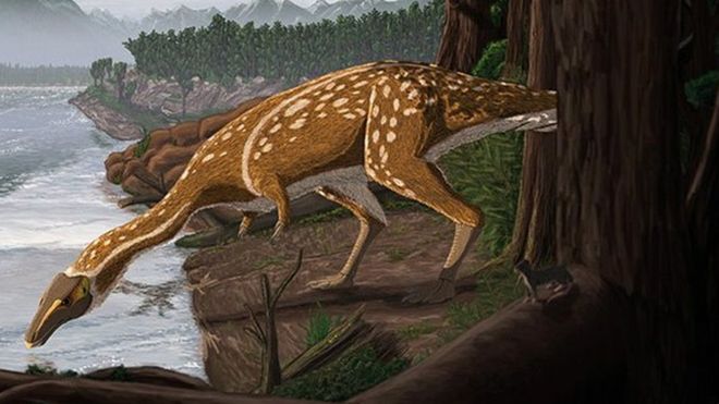 Rare T-rex ancestor found in Australia