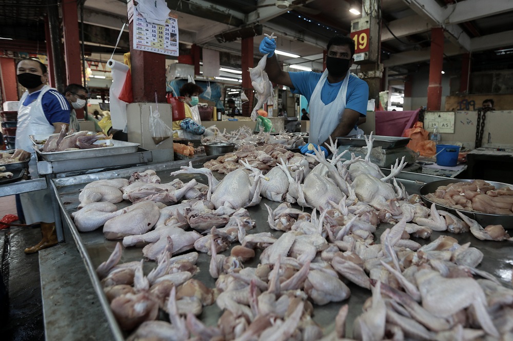 Citing food safety, Penang city council gives market poultry sellers till March 31 to install chillers