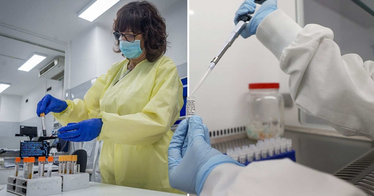 Prestigious studies suggest getting coronavirus once gives you immunity from it