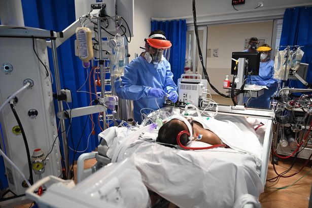 Five-month-old 'miracle' baby survives coronavirus after 32 days in coma