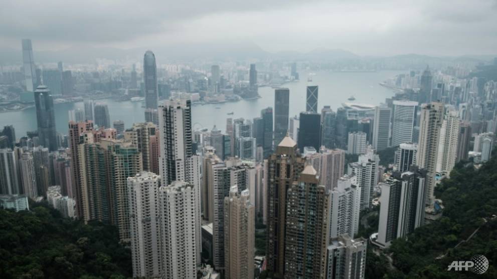 Hong Kong security law could mean 'joint' probes with mainland: Parliament adviser