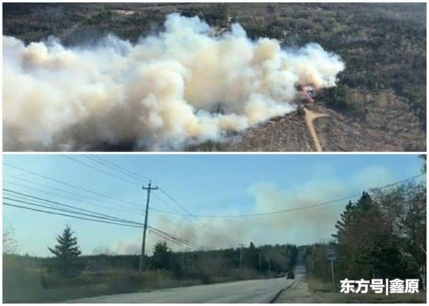 加拿大新斯科舍省森林发生山火，当地大批消防员到场救援！