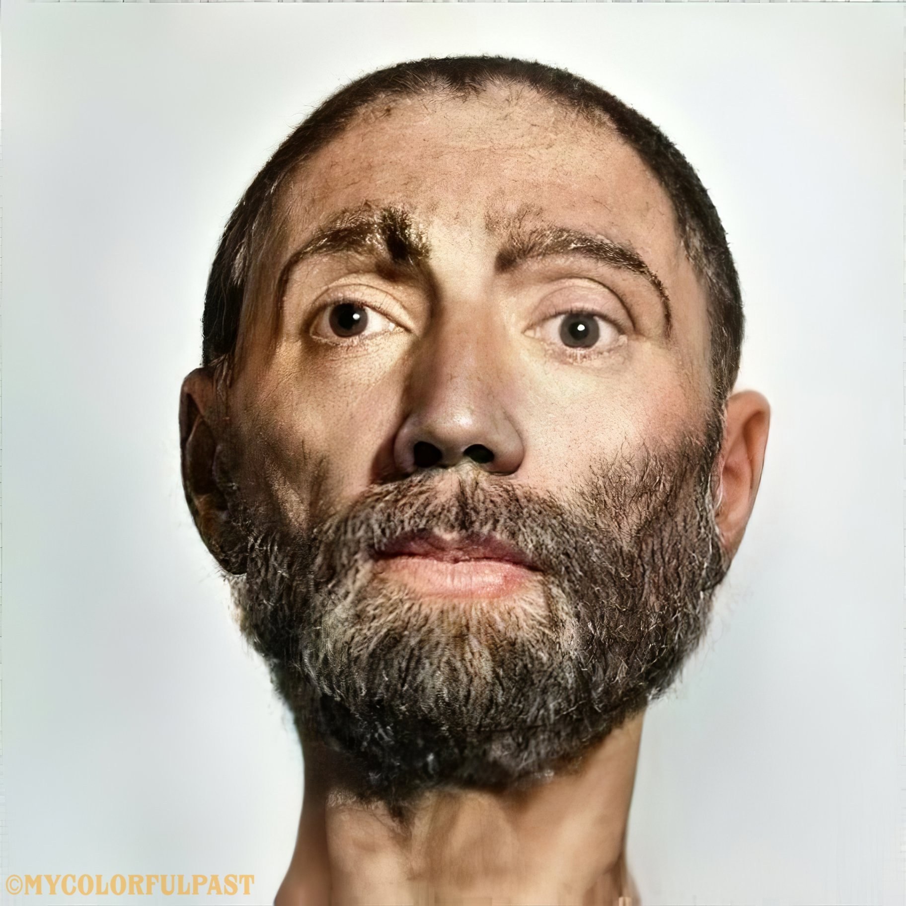True face of King Henry VII brought to life through digital reconstruction