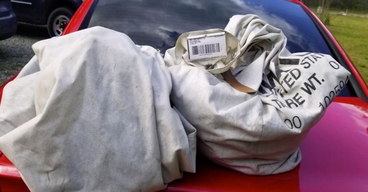 Family finds nearly $1 million in cash lying on the road
