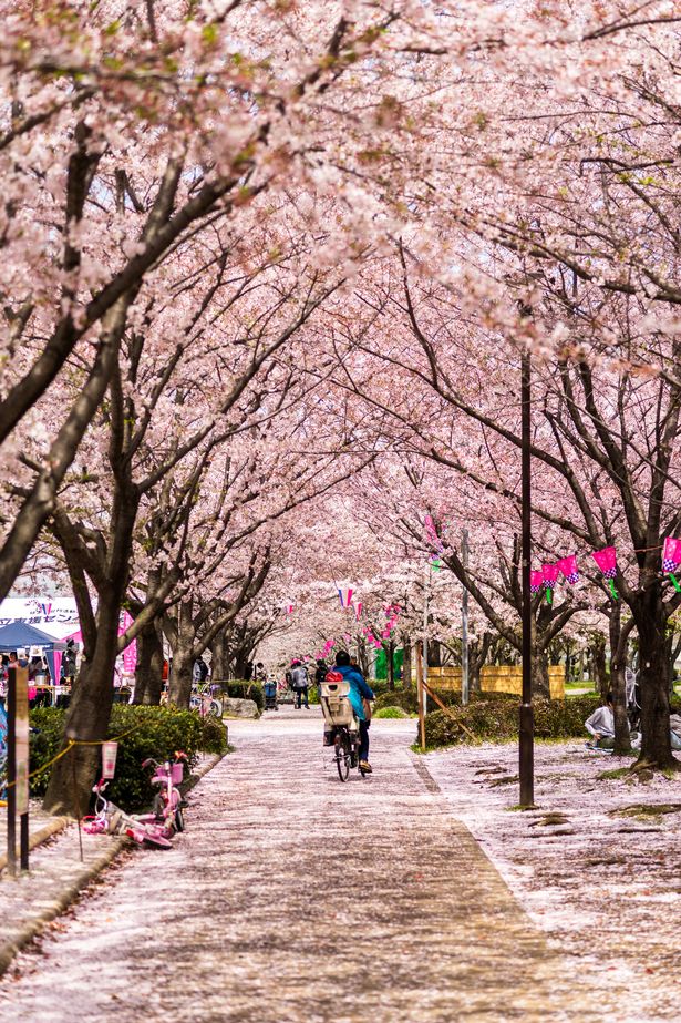 Japan may pay half your expenses for a holiday after lockdown is lifted
