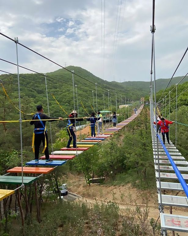 Glass tourist bridge in China closes as girl, 11, slips through gap and snaps spine