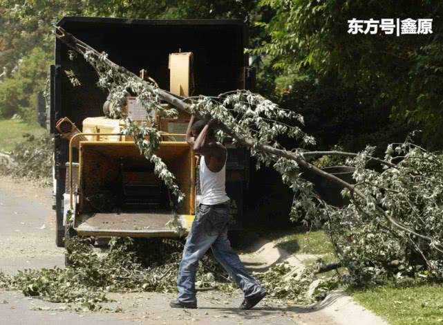 惨烈！美34岁工人被卷入碎木机当场死亡，警方：只找回部分遗体