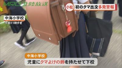 日本各地频现“熊出没” 一周内至少三人遇袭受伤