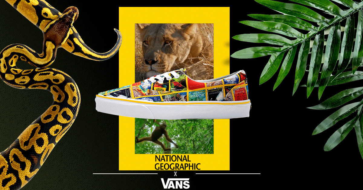 Vans teams up with National Geographic to create shoes covered in stunning photography