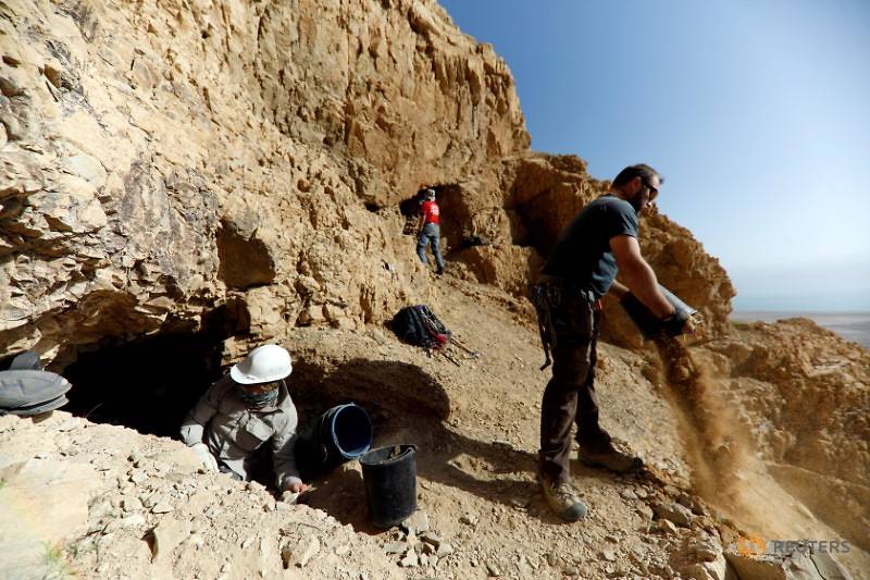 Hides that reveal: DNA helps scholars divine Dead Sea Scrolls