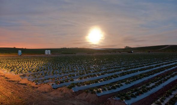 Strawberry Moon 2020 spiritual meaning: The meaning of the Strawberry Moon