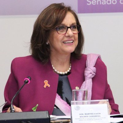 Mexican Politician Goes Topless During Official Zoom Meeting, Says She Isn't Ashamed