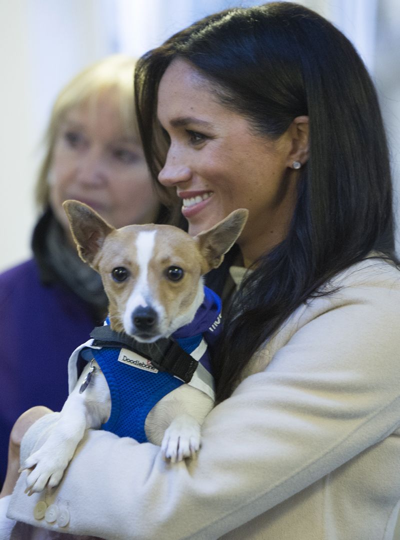 Meghan Markle reveals she has sponsored a dog kennel in Archie's name during coronavirus pandemic