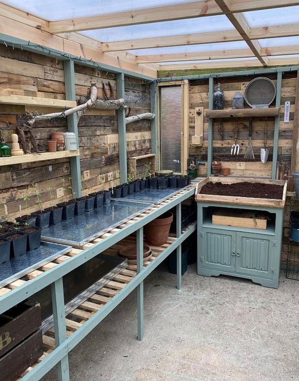 Woman builds £60 greenhouse worthy of a George Clark shed of the year nomination
