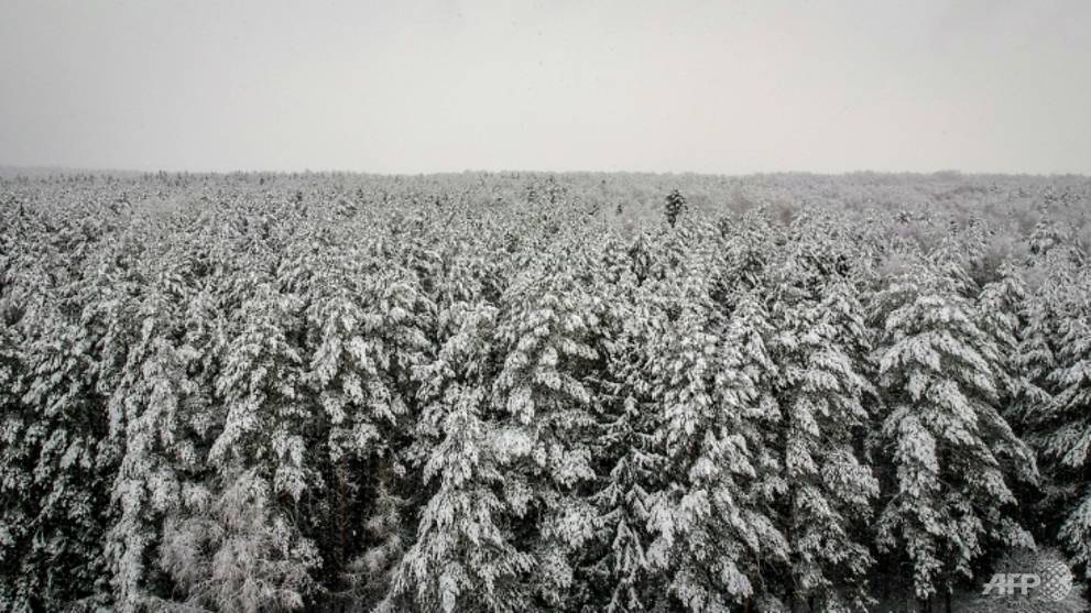 Climate change brings fires, floods and moths to Siberia
