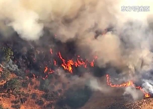 加州又遭山火重临，当地7平方多公里林地被毁！