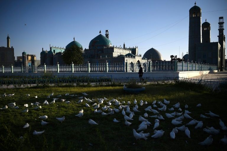 Doves starve at famed afghan mosque shuttered due to virus