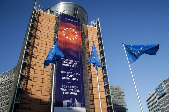 EU divided: Phil Hogan bid for WTO top job sparks fear of blow to Brussels' world standing