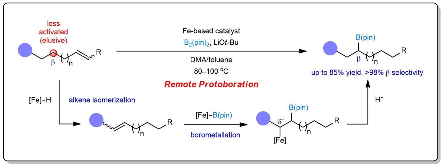 Sustainable iron catalysis enables controllable alkene borylation