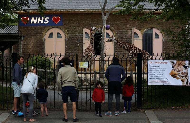 Zoos and drive-in cinemas will be among English businesses reopening next Monday
