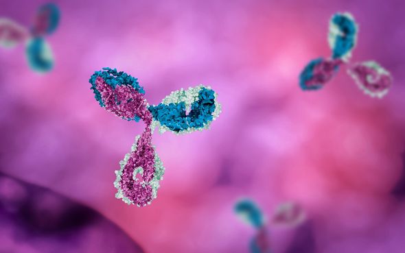 Italy coronavirus breakthrough as more than half tested in worst-hit city have antibodies