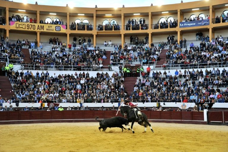 Colombia capital to ban killing, animal abuse in bullfights