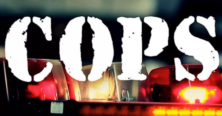 Cops, American Crime Series, Cancelled After 30 Years, 32 Seasons Following George Floyd's Death