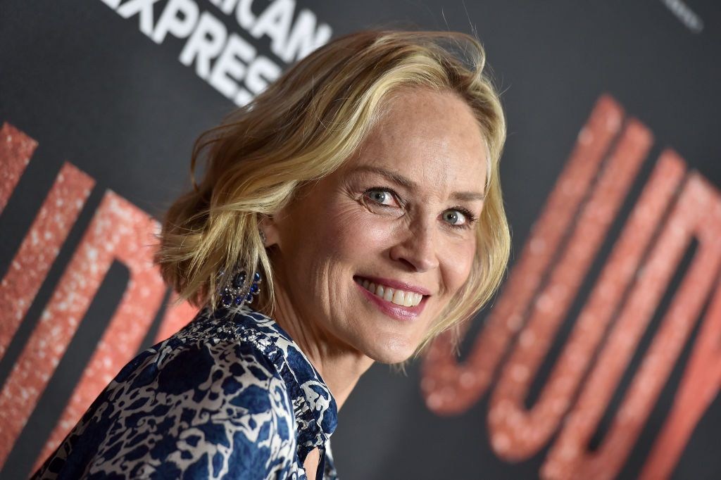 Sharon Stone was hit by lightning while doing the ironing