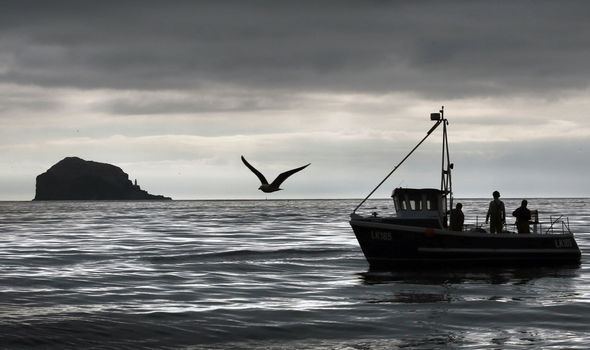 Brexit talks on brink as major fishing hurdle may ‘derail whole negotiation’ – new report