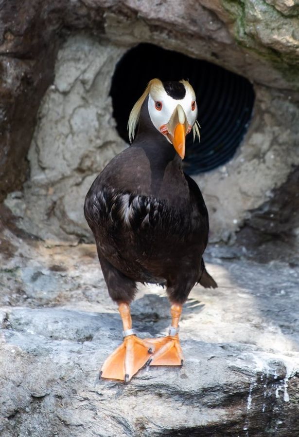 Closed zoo finds home for all its animals after euthanasia fears