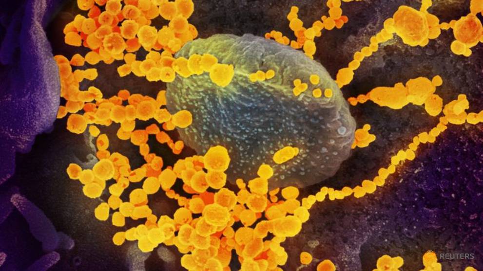 British, Australian PMs agree investigation into origins of coronavirus outbreak needed