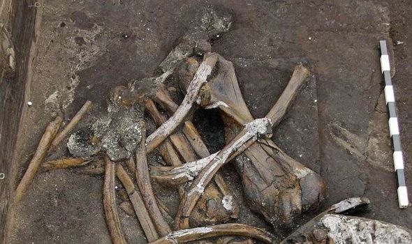Archaeology news: 'Ancient technology' discovered in cave in Germany