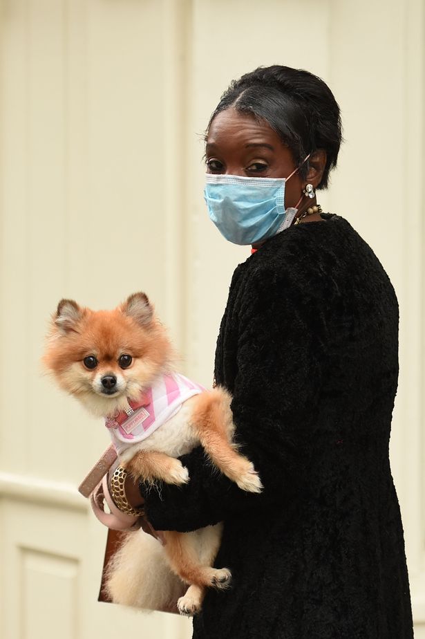 Cats and dogs 'could spark a second wave of coronavirus cases' experts now warn