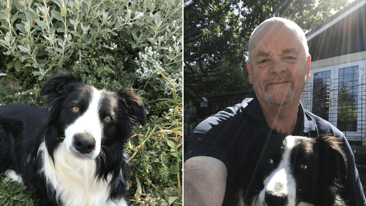 Dog owner’s warning as pet left ‘moments from death’ after swimming in pond with toxic algae