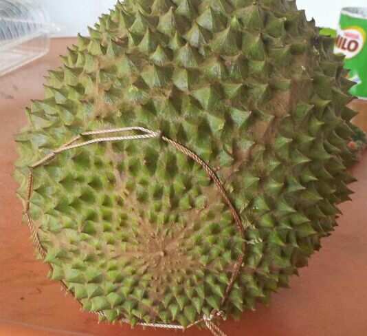 Cheapest durian delivery vendors in Singapore to satisfy your Mao Shan Wang cravings