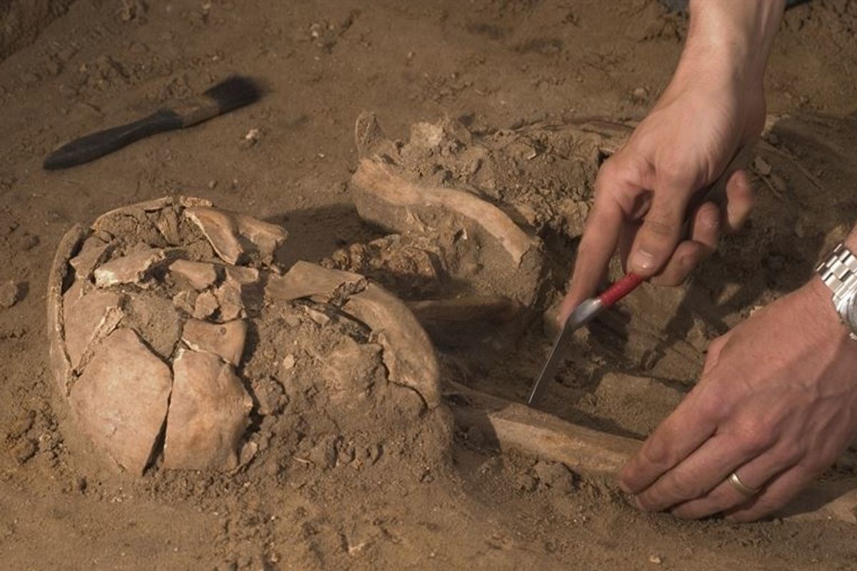 Archeologists Predict Which Historical Treasures They Hope To Find In The Next Decade