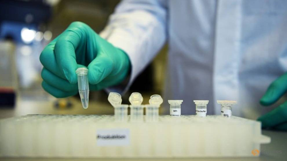 First results of COVID-19 vaccine trial in Germany expected in two months