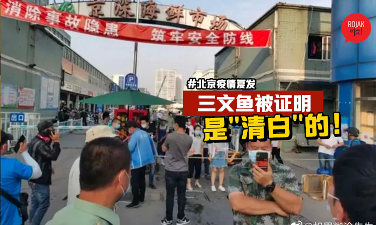 三文鱼是清白的！北京新一波Covid-19不是进口三文鱼带来的！并没有检测出冠病病毒！