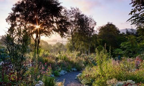 ‘I’ve felt supported by my plants’: how one exotic garden burst into life in lockdown
