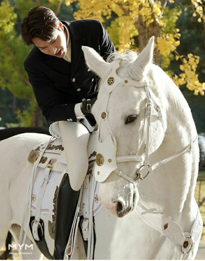 Here Is What Maximus the Horse Busy With Post Lee Min Ho Starrer The King: Eternal Monarch