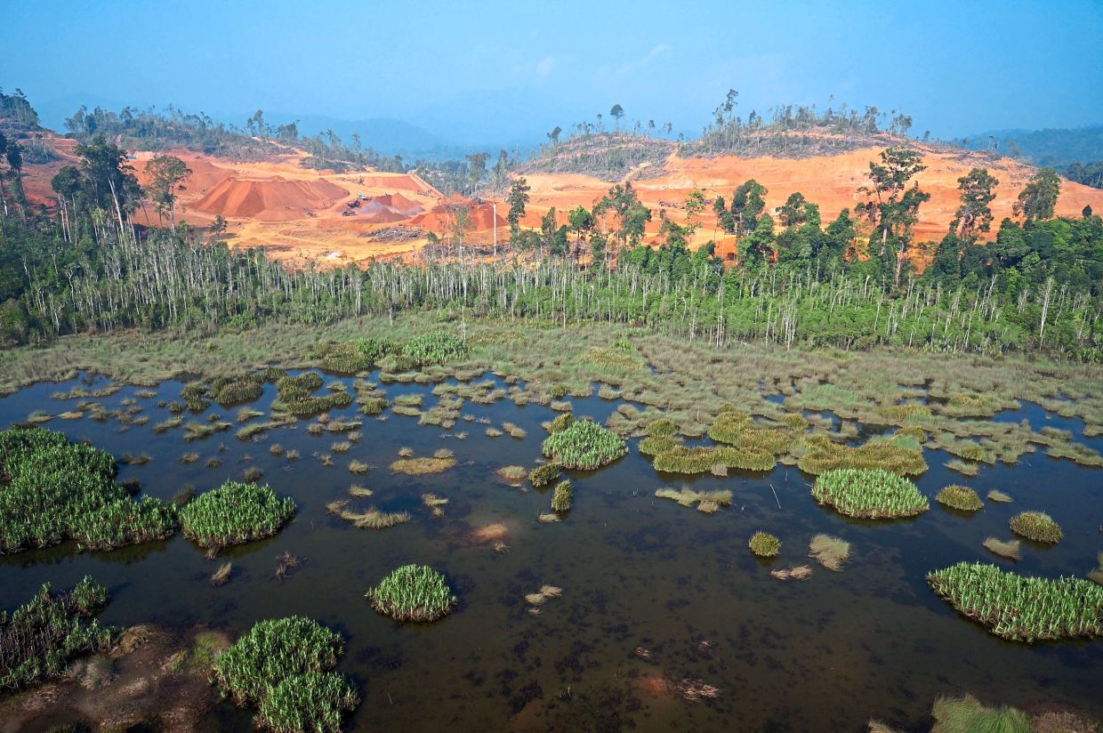 Restoring Tasik Chini