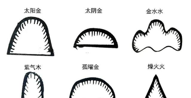 风水：​廖公九星解析